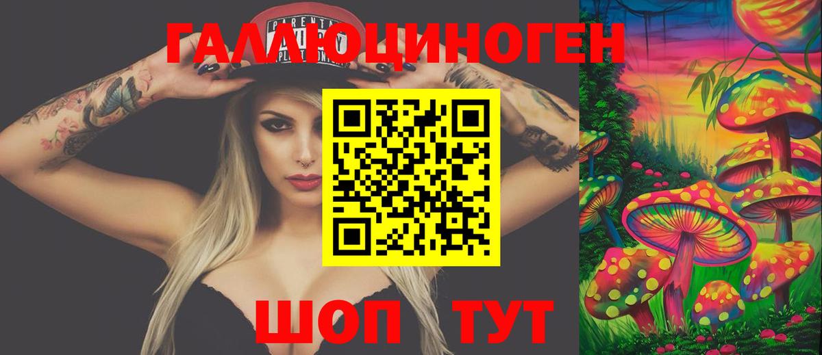 Галлюциногенные грибы Psilocybe Ухта